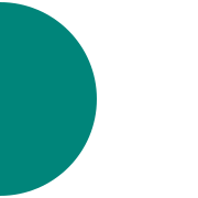 BMC Software logo