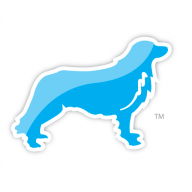 Distributed Solutions, Inc. logo