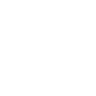 Elevate Government Solutions (SDVOSB) logo