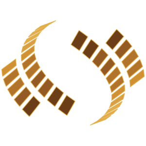 NetSage logo