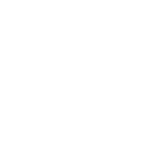 SteerBridge logo
